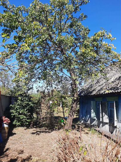 Дом 34 м² на участке 5,5 сот.