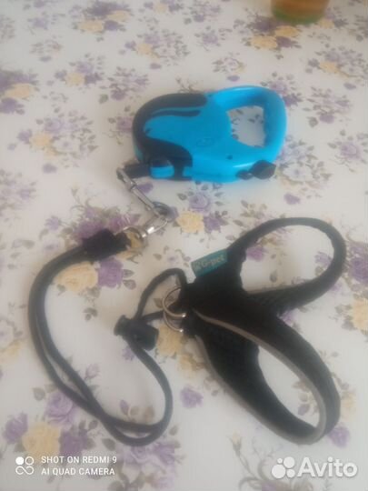 Поводок для маленьких собак