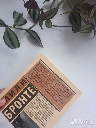 Книга Эмили Бронте,Грозовой перевал