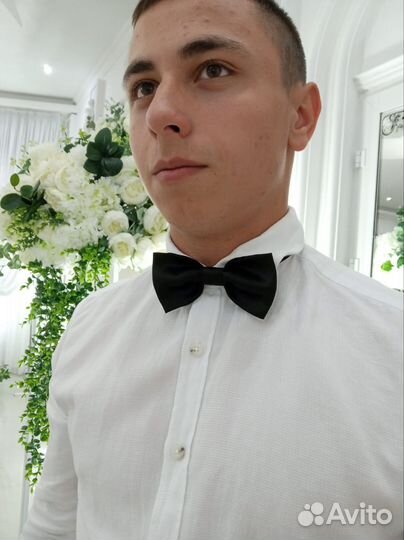 Бабочка галстук мужской