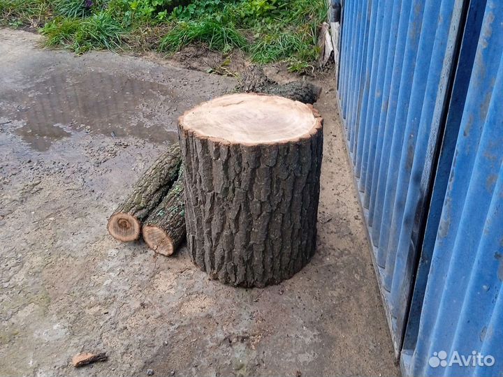 Спилы и пеньки