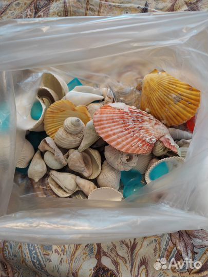 Ракушки и камушки для аквариума
