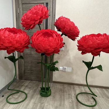 Напольные цветы