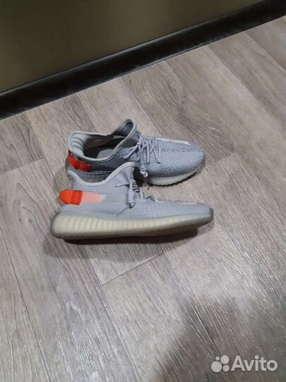 Кроссовки adidas унисекс