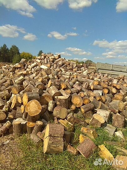 Дрова берёза, дуб, сосна