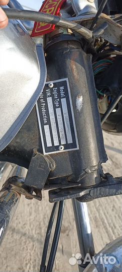 Продаю мопед alpha