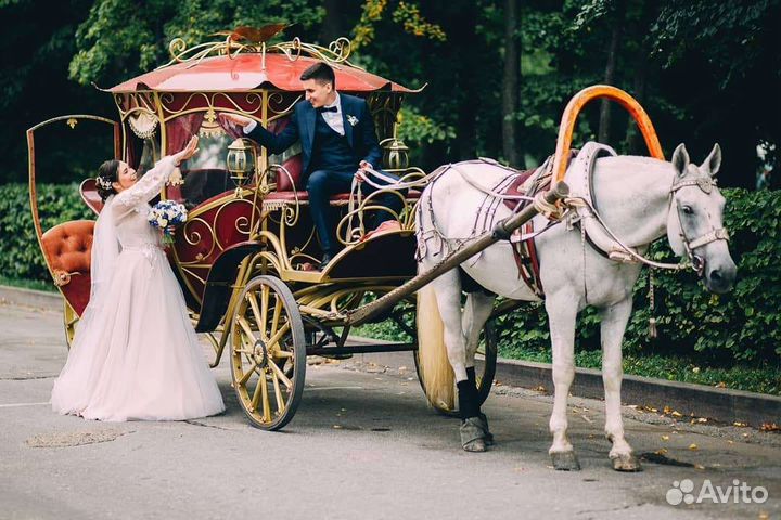 Аренда кареты, катание на лошадях, фотосессии
