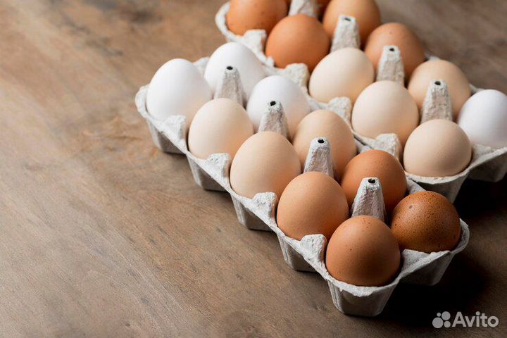 Домашние куриные яйца