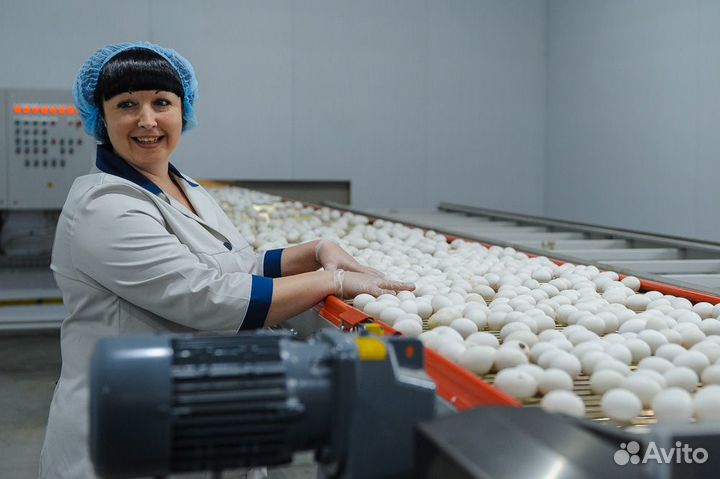 Работа вахтовым методом на птицефабрике Пермь