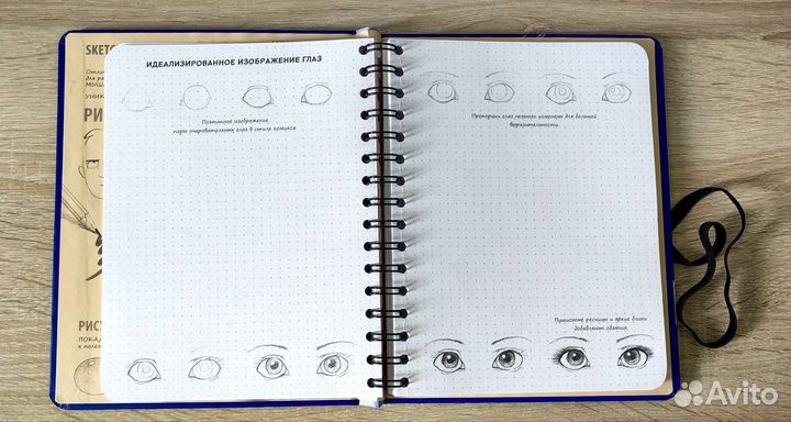 Sketchbook рисуем человека