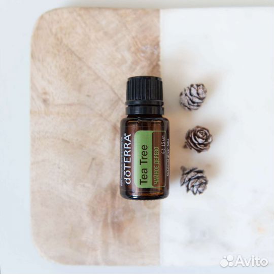 Эфирное масло чайного дерева