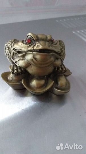 Китайская трёхлапая жаба