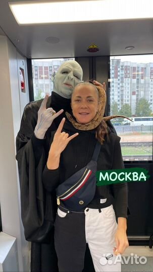 Шоу Гарри Поттер в поезде Москва