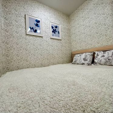 2-к. квартира, 33 м², 3 кровати