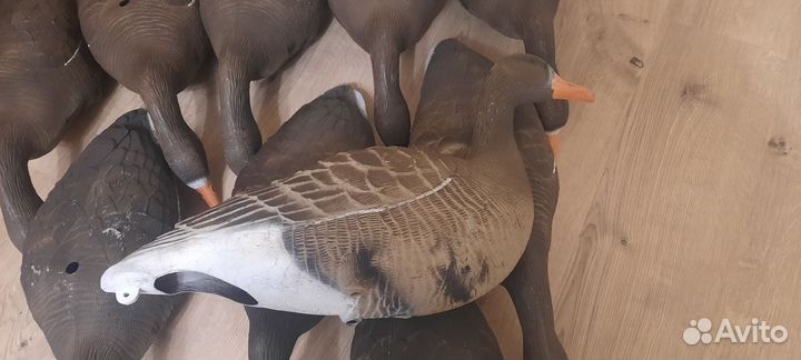 Чучела гусей softplast