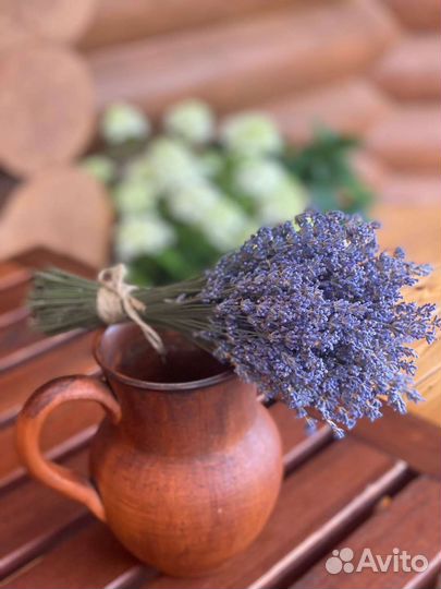 Лаванда,сухоцветы,букеты,саженцы