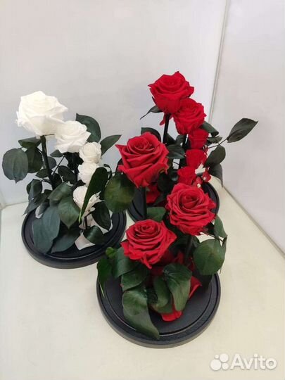 Роза в колбе