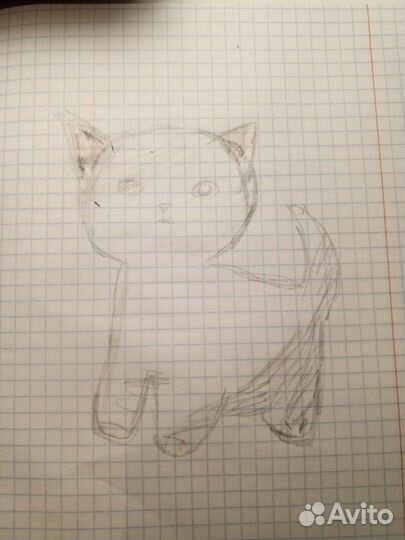 Нарисую вашего питомца за любую сумму