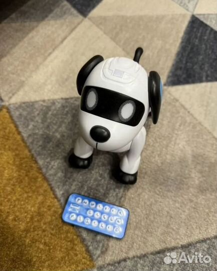 Собака робот