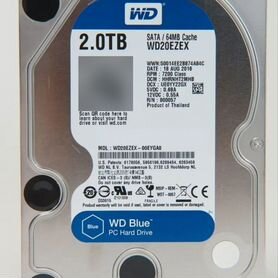 Western digital blue 2 тб