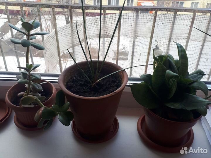 Распродажа в связи с переездом