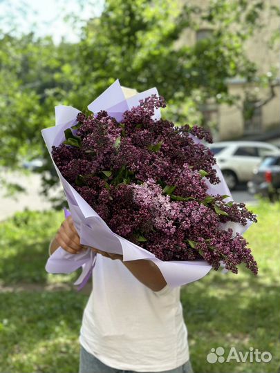 Сирень с достовкой
