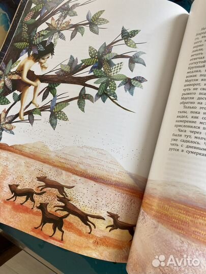 Книга Маугли