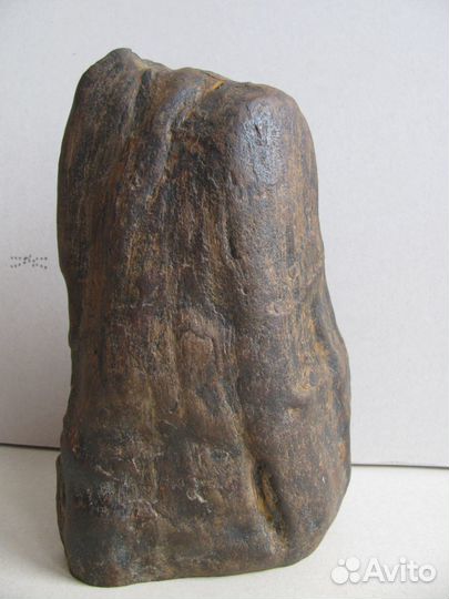 Окаменелое дерево (природная скульптура)