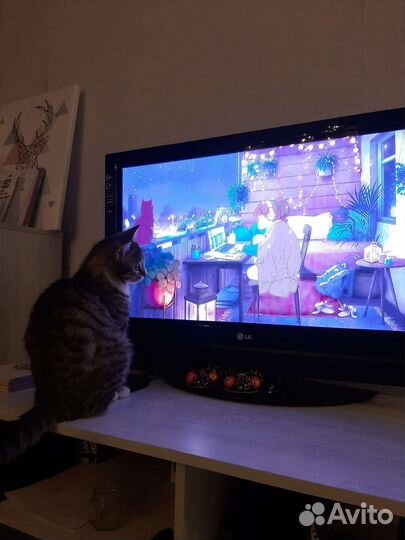 Красивый Кот