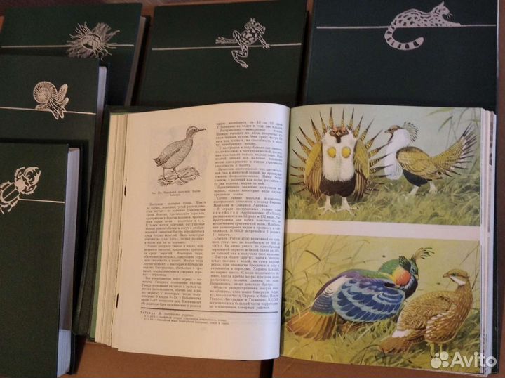 Книга Жизнь животных комплект 7 книг