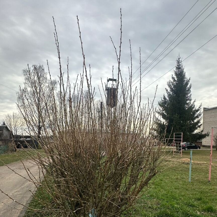 Квартира 2-комн. 41.7 м² в Новосокольники г. — фото 21 из 21