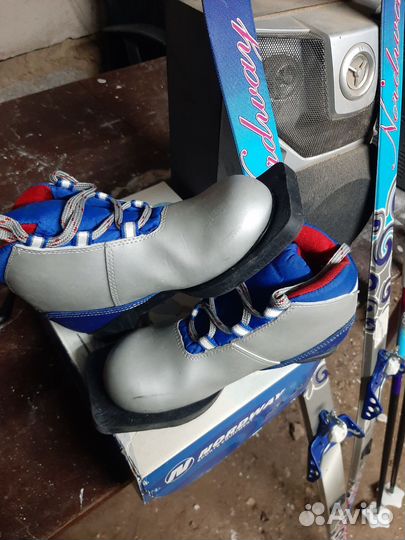 Горные лыжи