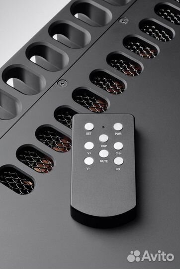 Begemot Limited - усилитель Александра Трусова