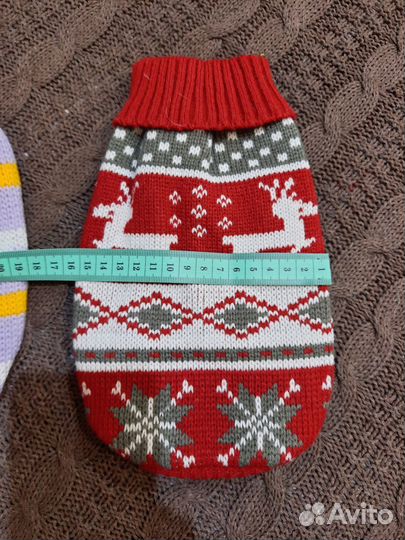 Одежда для мелких собак