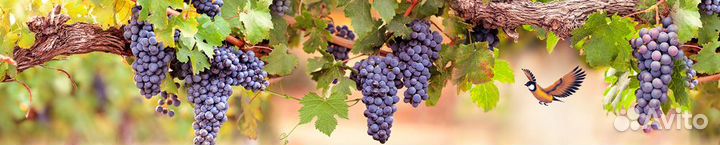 Кухонный фартук пвх