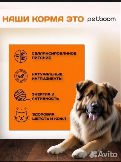 Корм для собак