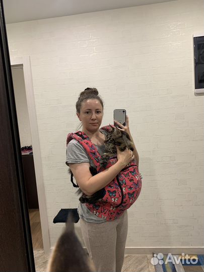 Эргорюкзак