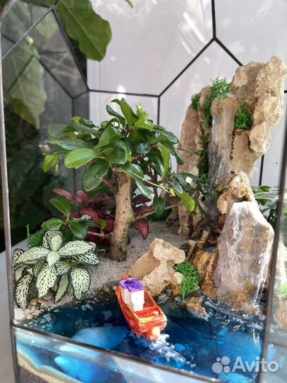 Флорариум бонсай