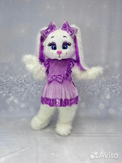 Услуги аниматора