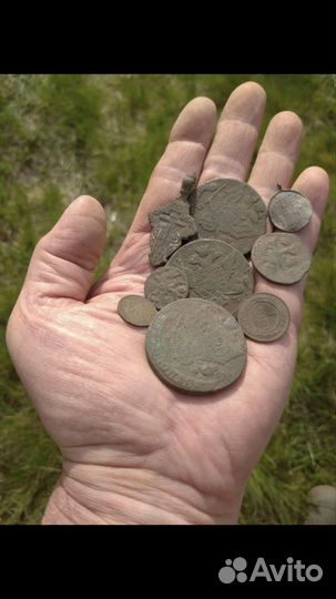 Металлоискатель в аренду