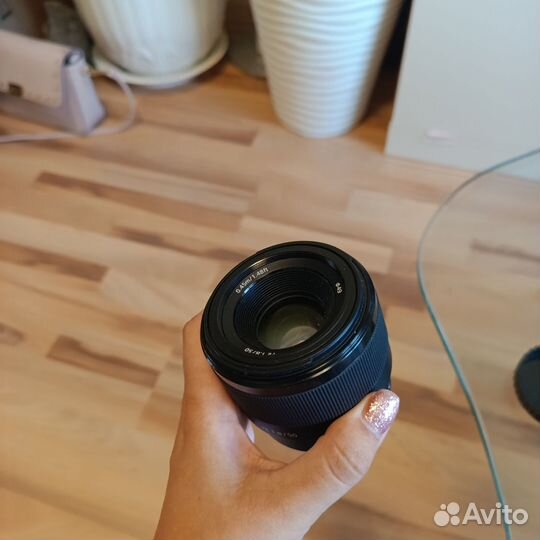 Объектив FE 1.8/50 (sony sel50f18f)