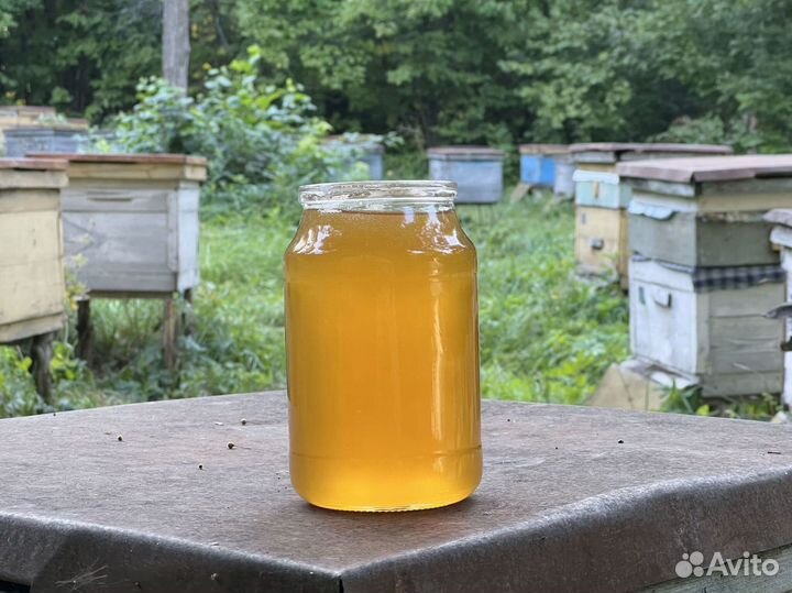Мед оптом