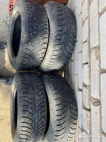 Gislaved Nord Frost 5 195/65 R15