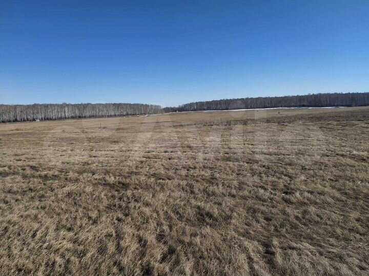 Участок 8 сот. (ИЖС)