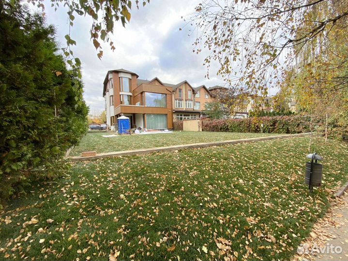 Рулонный газон 100 Мятлик