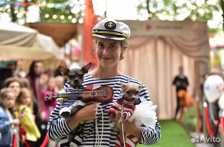 Кинолог, зоопсихолог, дрессировка собак, коррекция