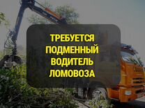 На подработку водитель ломовоза