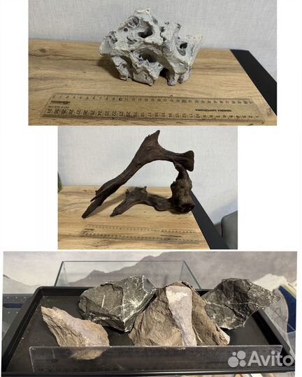 Аквариумы и аквариумное оборудование