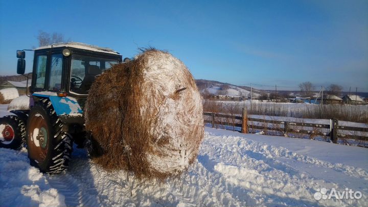 Сено в рулонах вес 500-600 кг