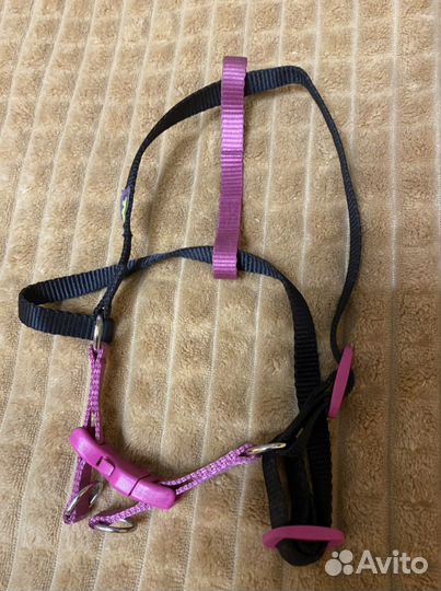 Шлейка для собаки
